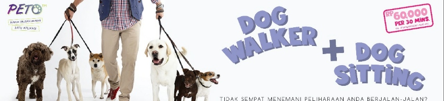 peto ads royal canin