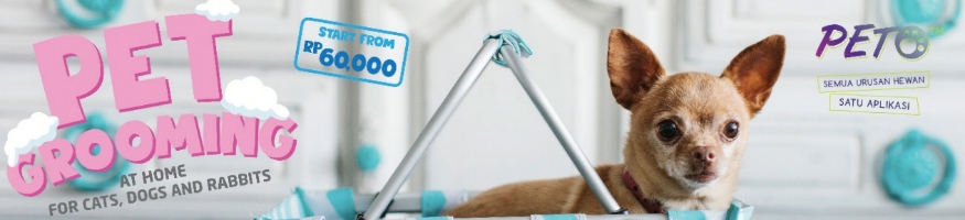peto ads royal canin