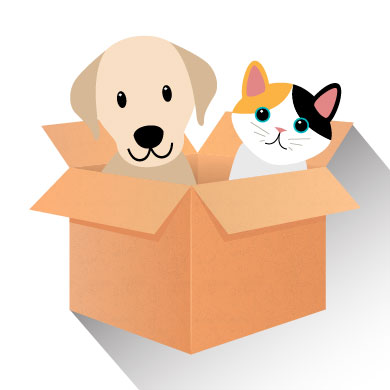 peto rescue icon